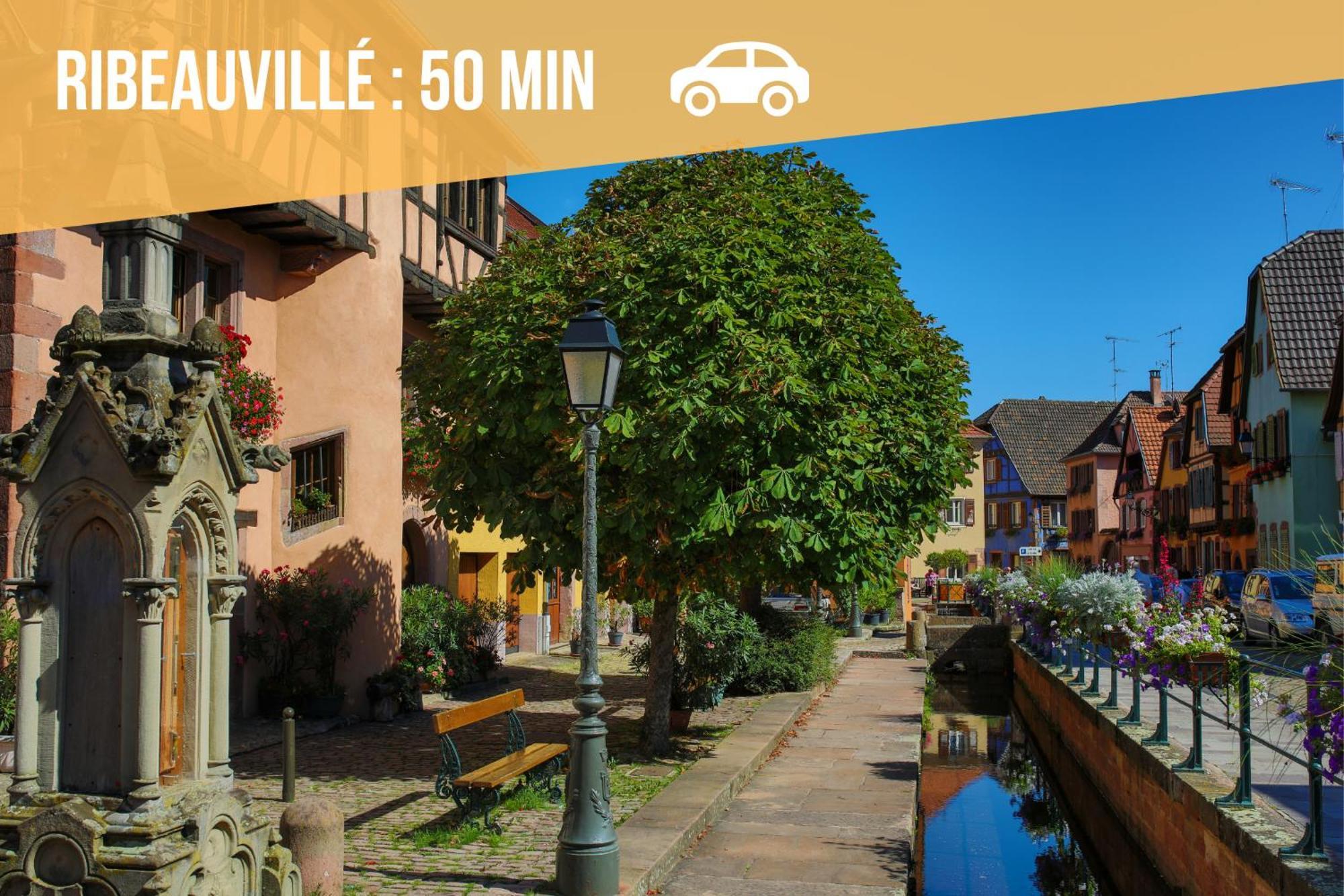 Lit Rond Tres Grand Et Confortable - Garage Possible Ou Parking Gratuit Rue - Gare 2 Min Et Ville 4 Min En Tram - Ciel Etoile - Netflix Videoprojecteur - Luxe Et Evasion Страсбург Экстерьер фото